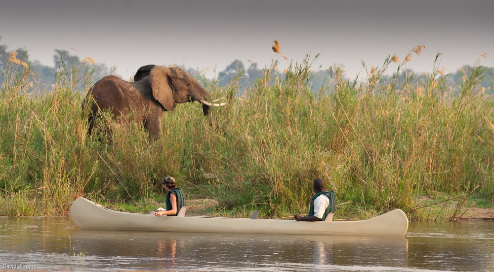 Lower Zambezi