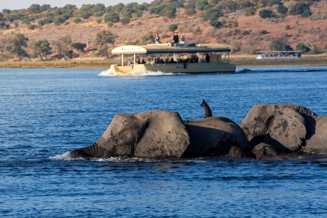 3 Day Chobe Safari Lodge Safari Package