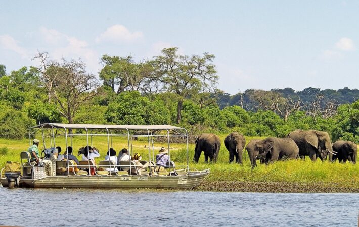 Chobe Day Trip