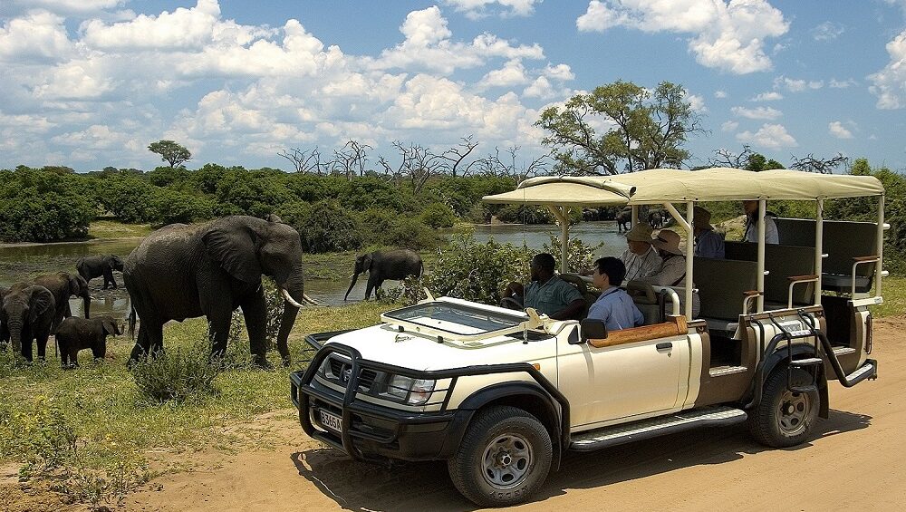 Chobe Day Trip