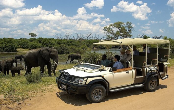 Chobe Day Trip