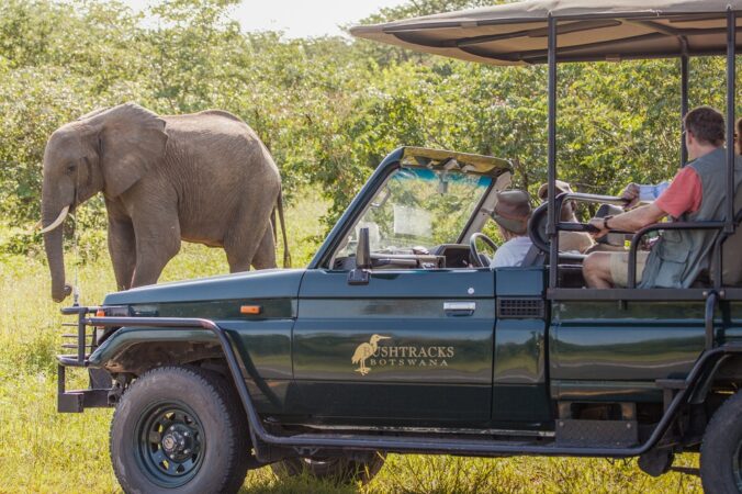 3 Day Chobe Safari Lodge Safari Package