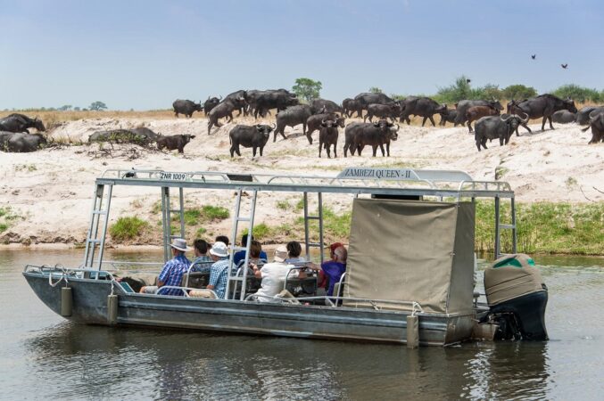 6-Day Victoria Falls & Chobe River Safari Adventure